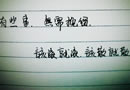 手写文字图 一束花算不算浪漫