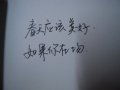 在你手心，会有谁给你温柔
