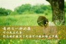 有那么一个女孩是他们生命中的红颜
