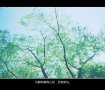 逝去的旧时光,