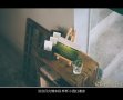 我在附和你说的谎言