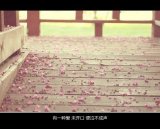 别留给我你的背影
