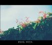 带文字意境图