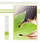越是笑的甜美,越发感觉疲惫_Feel空间框图素材