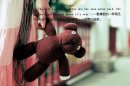 再美的梦也比不过你的回眸