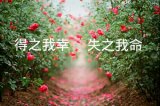 你带过去过最美的地方，就是心海