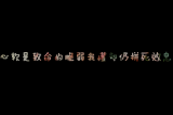 心软是致命的脆弱我懂却仍拼死效忠