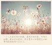 What's the 青春？