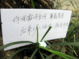 时间给我了最深的印记