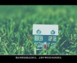 我爱你只爱你 那么你呢