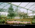 我偷了一段我们的旧时光
