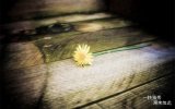 你不懂我 我不怪你