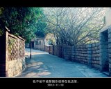 为我最爱的少年带花