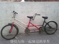 第九个秋天没有落叶