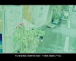 情路漫长我们只走过一段