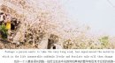 带文字的那些美图，你喜欢么