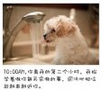 就是它们的一辈子