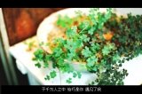 时光取名叫无心，