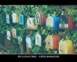 最后还是一个人吗。