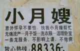 好牛的标语 高巢来了