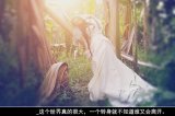 如果不想一起到老何必煎熬着不放掉
