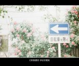 已知我爱你，求证你爱我