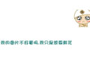 简单的文字 莪心之所系的梦中天堂