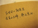 那是一场盛世流年，我们守着寂寞伤得面目全