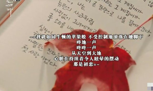 失去了不会伤心 得到了便是惊喜