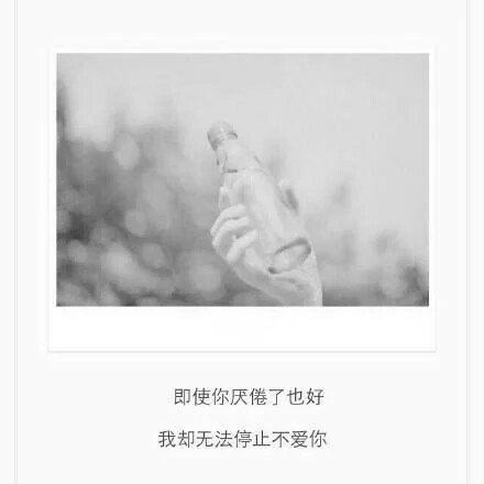 及时你厌倦了也好，我却无法停止不爱你