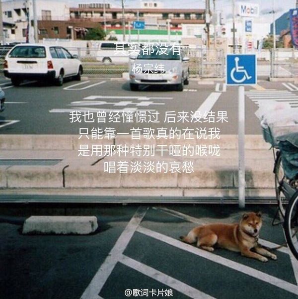 唯美图片，文字图片，动漫图片，情侣图片,qqqqp.com