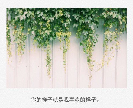 唯美图片，文字图片，动漫图片，情侣图片,qqqqp.com