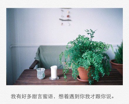唯美图片，文字图片，动漫图片，情侣图片,qqqqp.com