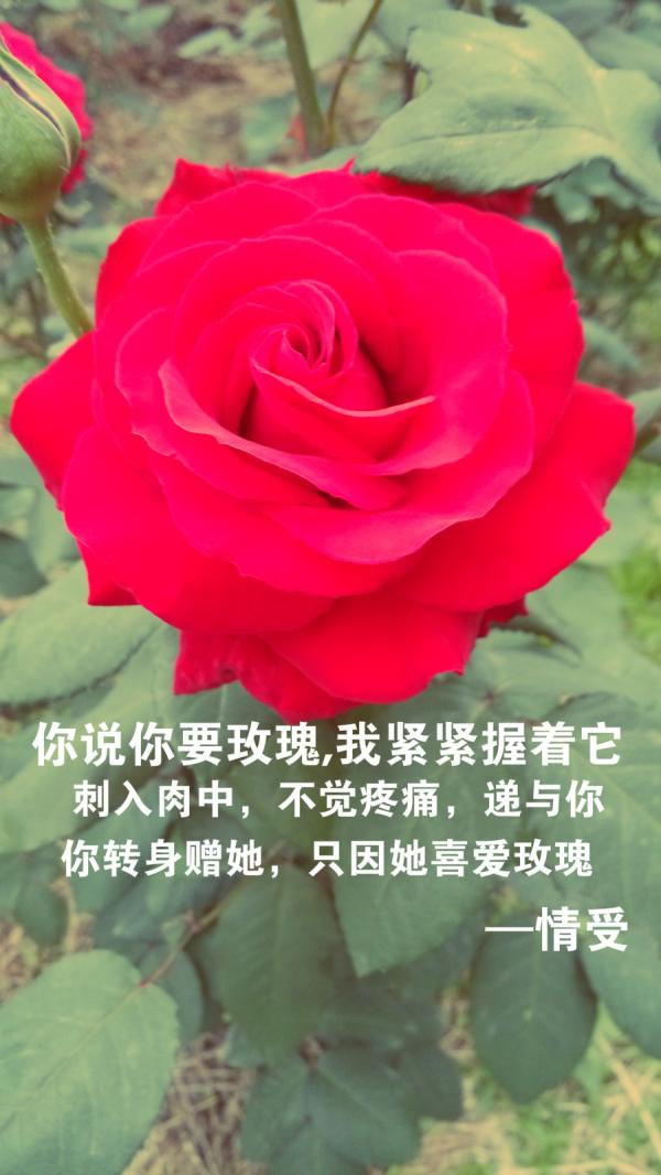 把你变成我的坏习惯，不如把我变成你的好心情吧