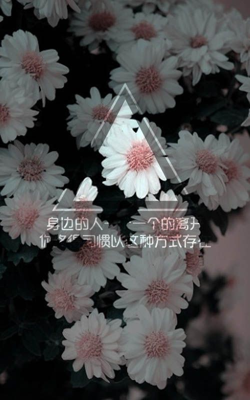 如果可以 我愿曾经的温暖从不存在过