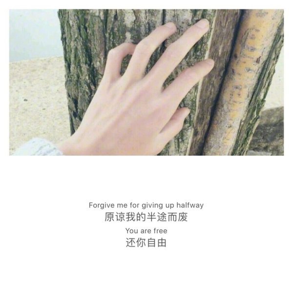 唯美图片，文字图片,情侣图片qqqqp