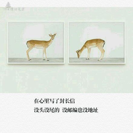 唯美图片，文字图片,情侣图片qqqqp