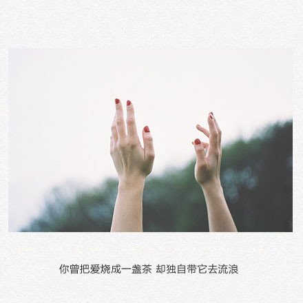 别迷失在爱里，别为一棵树哭泣。