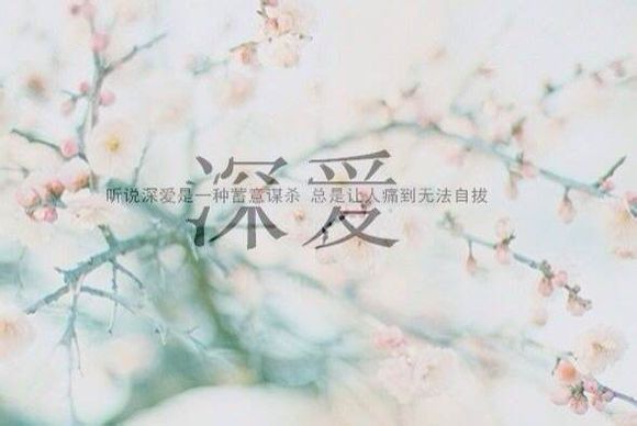 用最美的辞藻修饰最爱的人 图文