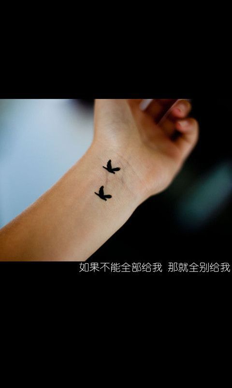 你从没看到我看到你时发亮的眼睛