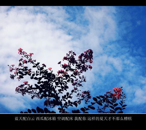过了无理取闹的年龄，我想我应该学会坚强 带字唯美图片