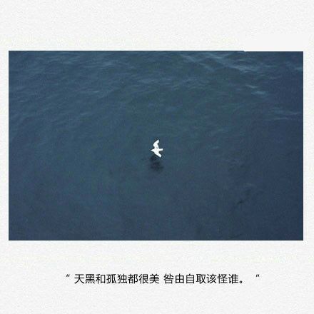唯美图片，文字图片，动漫图片，情侣图片,qqqqp.com