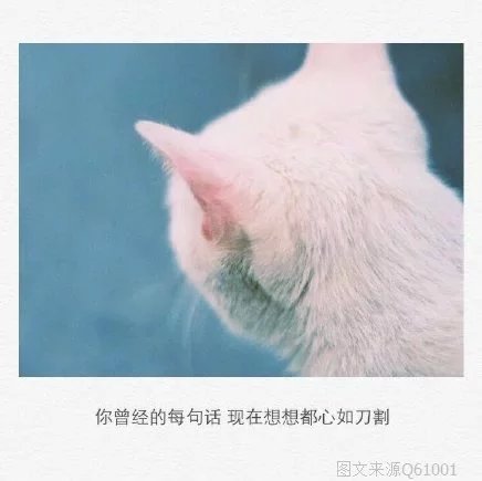 唯美图片，文字图片,情侣图片qqqqp