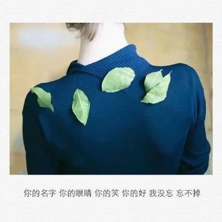 唯美图片，文字图片,情侣图片qqqqp