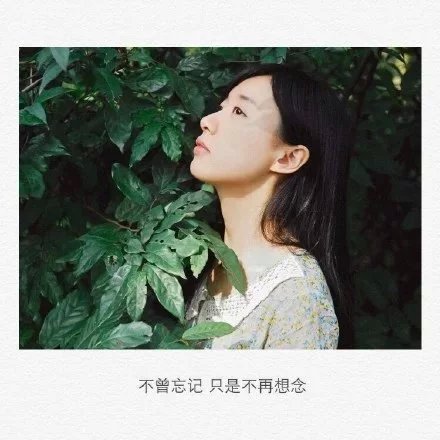 唯美图片，文字图片,情侣图片qqqqp