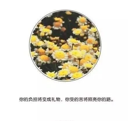 你的负担将变成礼物，你受的苦将照亮你的路