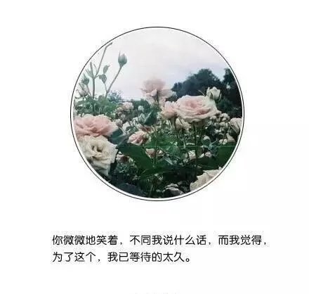 唯美图片，文字图片,情侣图片qqqqp