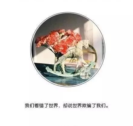 唯美图片，文字图片,情侣图片qqqqp