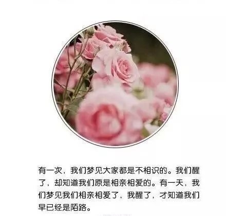 唯美图片，文字图片,情侣图片qqqqp