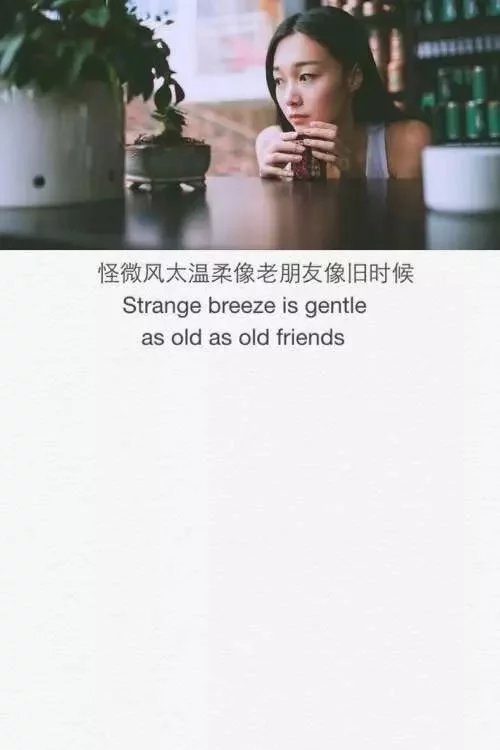 唯美图片，文字图片,情侣图片qqqqp